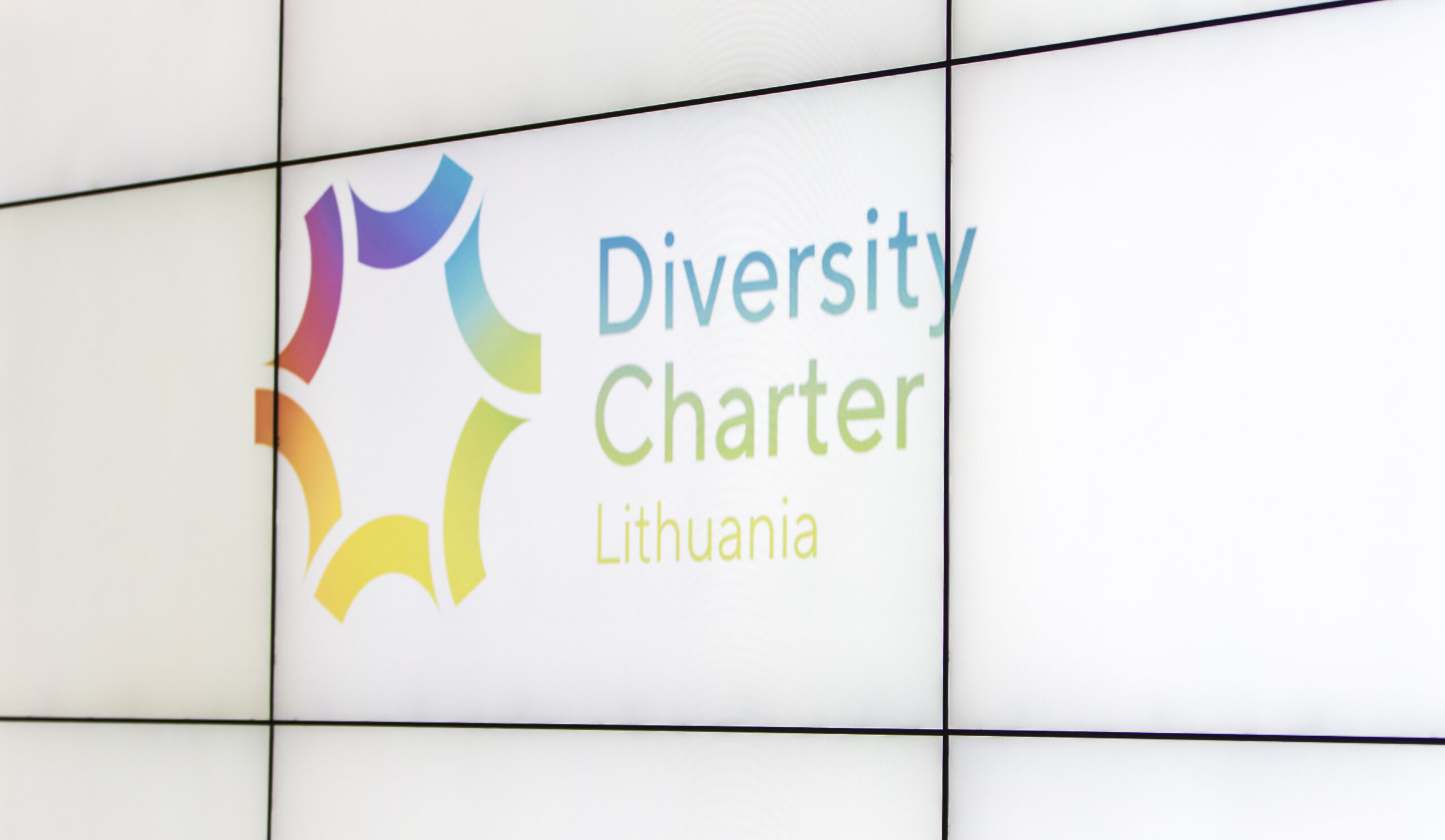Diversity charter lithuania